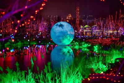 就地過年也精彩 濟南融創文旅城解鎖虎年嗨玩新玩法