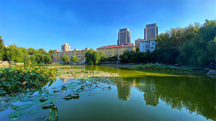 濟(jì)南市天橋區(qū)無(wú)影山街道:勇毅篤行向未來(lái) 踵事增華再出發(fā)