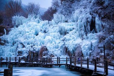 山東濟(jì)南九如山雪后銀裝素裹 飛瀑冰封