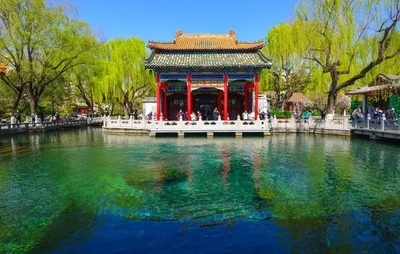 濟(jì)南現(xiàn)“豬鯉plus”版 趵突泉的魚為何這么圓潤(rùn)